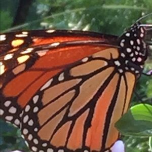 Meet your Posher, Catherine